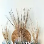 Boutique Zeelui Hotel Egmond aan Zee