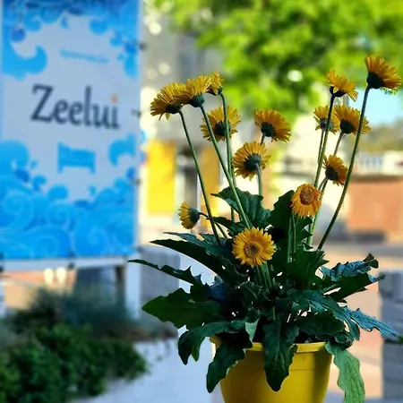 Zeelui 4* Egmond aan Zee