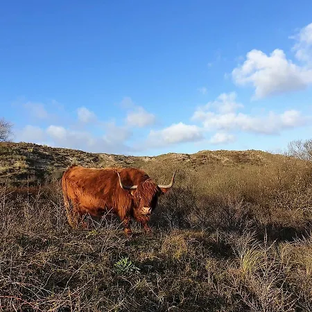 Boutique Zeelui 4* Egmond aan Zee