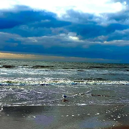 Boutique Zeelui 4* Egmond aan Zee