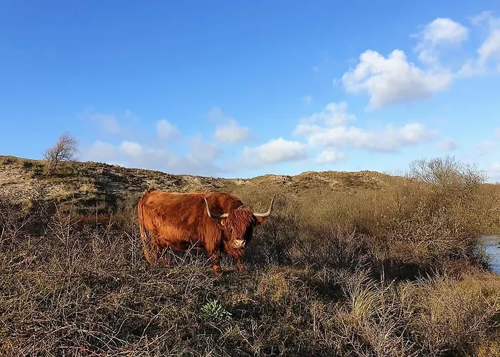 Zeelui 4* Egmond aan Zee