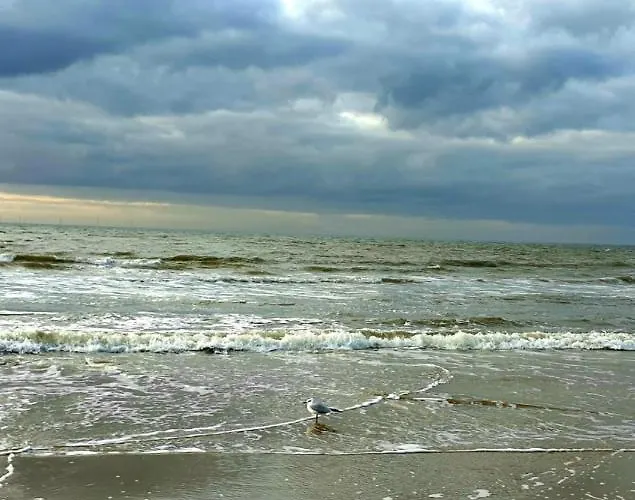 Zeelui 4* Egmond aan Zee