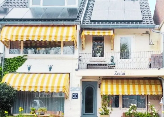 호텔 Boutique Zeelui 4*