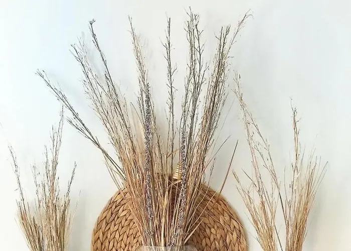 Boutique Zeelui 호텔 에크몬드안지