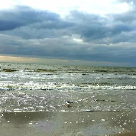 Boutique Zeelui 4* Egmond aan Zee