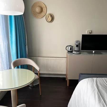 Boutique Zeelui 4* Эгмонд-ан-Зее